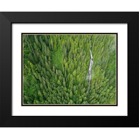 Alaska-Juneau-Taku Harbor State Marine Park-waterfall on mountainside in coastal rainforest Black Modern Wood Framed Art Print with Double Matting by Souders, Paul