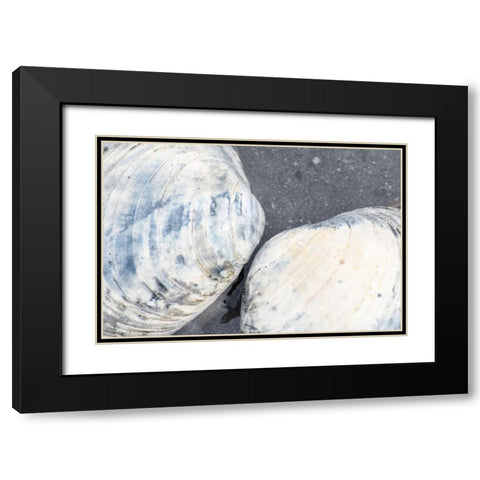 Alaska-Ketchikan-clam shells on beach Black Modern Wood Framed Art Print with Double Matting by PLank, Savanah