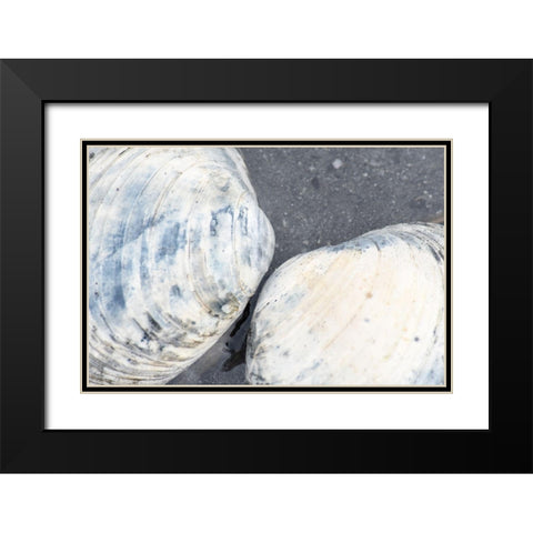 Alaska-Ketchikan-clam shells on beach Black Modern Wood Framed Art Print with Double Matting by PLank, Savanah