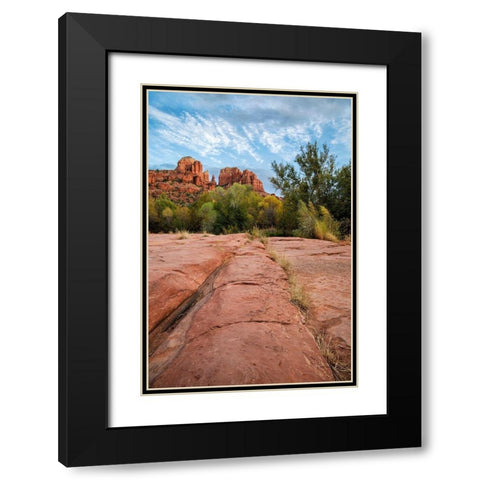 Arizona-Sedona-Red Rock State Park-Cathedral Rock Black Modern Wood Framed Art Print with Double Matting by Collins, Ann