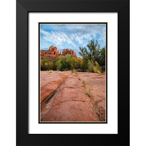 Arizona-Sedona-Red Rock State Park-Cathedral Rock Black Modern Wood Framed Art Print with Double Matting by Collins, Ann