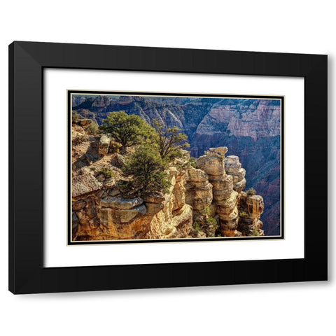 Arizona-Grand Canyon National Park-Rocks and trees at Grandview Point Black Modern Wood Framed Art Print with Double Matting by Collins, Ann