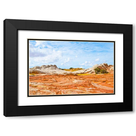 USA-Arizona-Vermilion Cliffs National Monument White Pocket Black Modern Wood Framed Art Print with Double Matting by Friel, Bernard