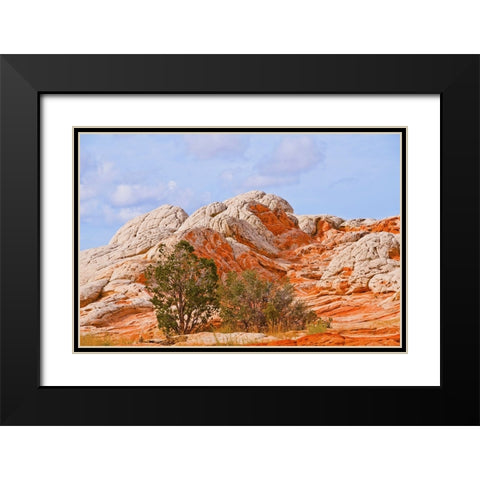 USA-Arizona-Vermilion Cliffs National Monument White Pocket Black Modern Wood Framed Art Print with Double Matting by Friel, Bernard