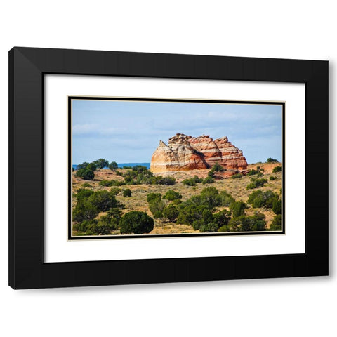 USA-Arizona-Vermilion Cliffs National Monument White Pocket Black Modern Wood Framed Art Print with Double Matting by Friel, Bernard