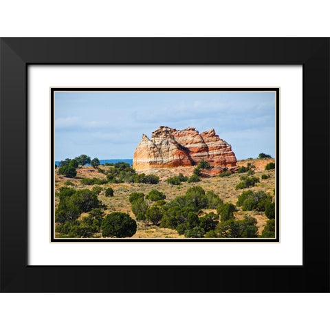 USA-Arizona-Vermilion Cliffs National Monument White Pocket Black Modern Wood Framed Art Print with Double Matting by Friel, Bernard