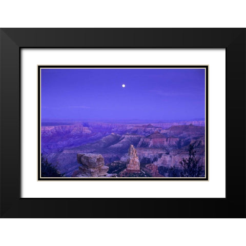 AZ, Grand Canyon, Moonrise over Point Imperial Black Modern Wood Framed Art Print with Double Matting by Welling, Dave