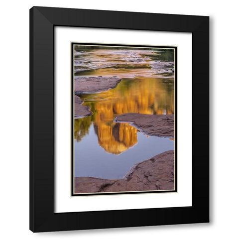 Arizona, Sedona Cathedral Rock reflects in creek Black Modern Wood Framed Art Print with Double Matting by OBrien, Jay