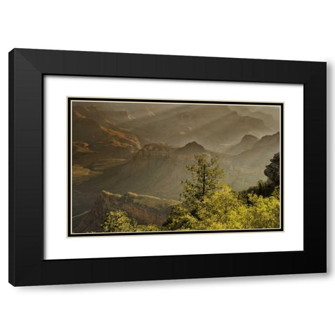 AZ, Grand Canyon, God rays over rock formations Black Modern Wood Framed Art Print with Double Matting by OBrien, Jay