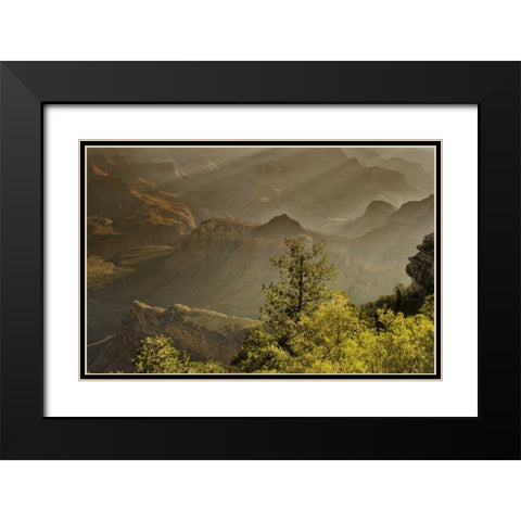 AZ, Grand Canyon, God rays over rock formations Black Modern Wood Framed Art Print with Double Matting by OBrien, Jay