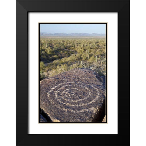 Arizona, Saguaro NP Hohokam Indian petroglyph Black Modern Wood Framed Art Print with Double Matting by Paulson, Don