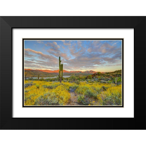 AZ, Lake Bartlett Sunset on desert landscape Black Modern Wood Framed Art Print with Double Matting by Lord, Fred