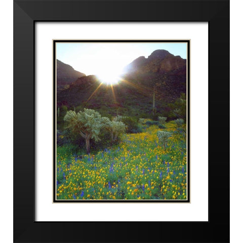 AZ, Organ Pipe Cactus NM Flowers and cacti Black Modern Wood Framed Art Print with Double Matting by Talbot Frank, Christopher