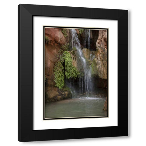 Arizona, Grand Canyon Waterfall at Elves Chasm Black Modern Wood Framed Art Print with Double Matting by Grall, Don