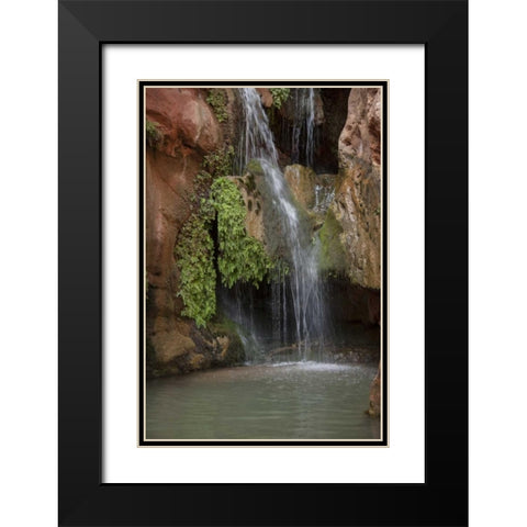 Arizona, Grand Canyon Waterfall at Elves Chasm Black Modern Wood Framed Art Print with Double Matting by Grall, Don