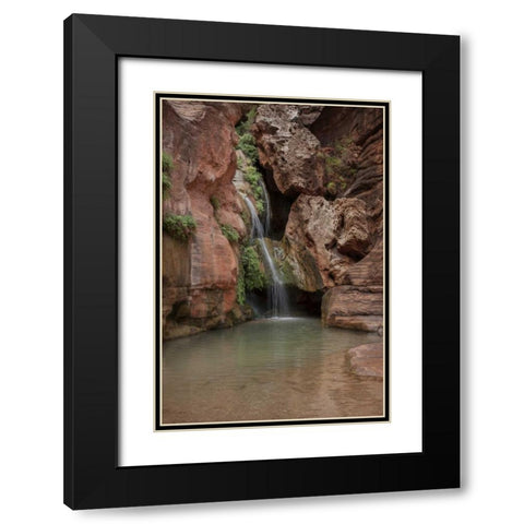 Arizona, Grand Canyon Waterfall at Elves Chasm Black Modern Wood Framed Art Print with Double Matting by Grall, Don