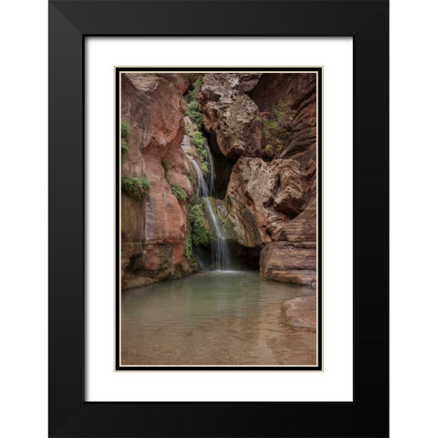 Arizona, Grand Canyon Waterfall at Elves Chasm Black Modern Wood Framed Art Print with Double Matting by Grall, Don