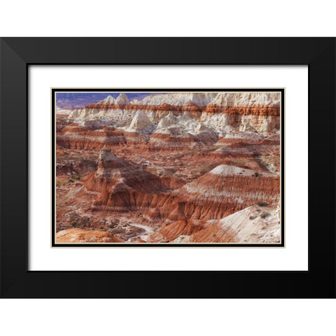 USA, Arizona A desert area called Toad Stools Black Modern Wood Framed Art Print with Double Matting by Paulson, Don