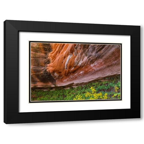 Arizona Hanging Garden in Canyon X Black Modern Wood Framed Art Print with Double Matting by Paulson, Don