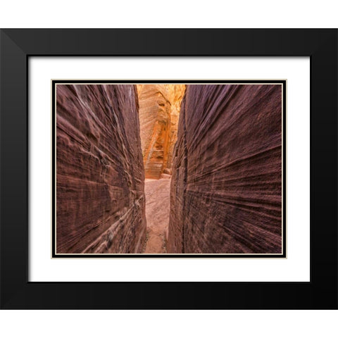 AZ, Canyon X Formations in eroded sandstone rock Black Modern Wood Framed Art Print with Double Matting by Paulson, Don