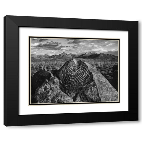 Arizona, Saguaro NP Petroglyphs on Signal Hill Black Modern Wood Framed Art Print with Double Matting by Flaherty, Dennis