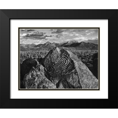 Arizona, Saguaro NP Petroglyphs on Signal Hill Black Modern Wood Framed Art Print with Double Matting by Flaherty, Dennis