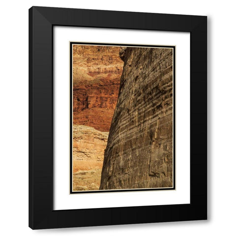 AZ, Grand Canyon, Sandstone wall in Marble Canyon Black Modern Wood Framed Art Print with Double Matting by Grall, Don