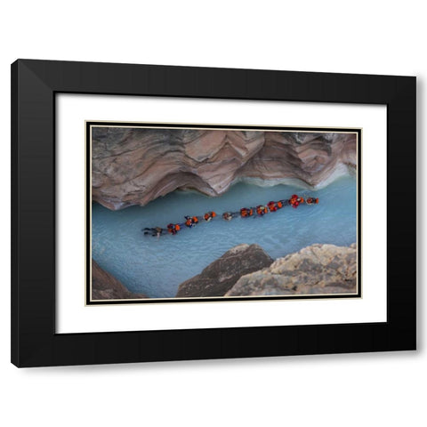 AZ, Grand Canyon, Students float on Havasu Creek Black Modern Wood Framed Art Print with Double Matting by Grall, Don