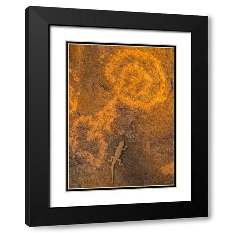 AZ, Painted Rock Petroglyph Site and lizard Black Modern Wood Framed Art Print with Double Matting by Illg, Cathy and Gordon