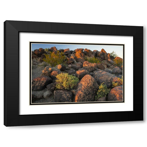 Arizona, Painted Rocks Rocks with petroglyphs Black Modern Wood Framed Art Print with Double Matting by Illg, Cathy and Gordon