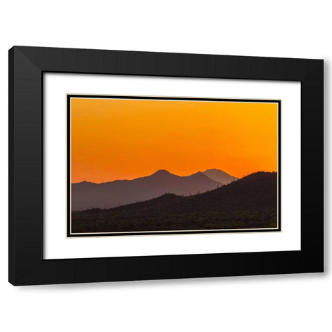 Arizona, Saguaro NP Tucson Mountains at sunset Black Modern Wood Framed Art Print with Double Matting by Illg, Cathy and Gordon