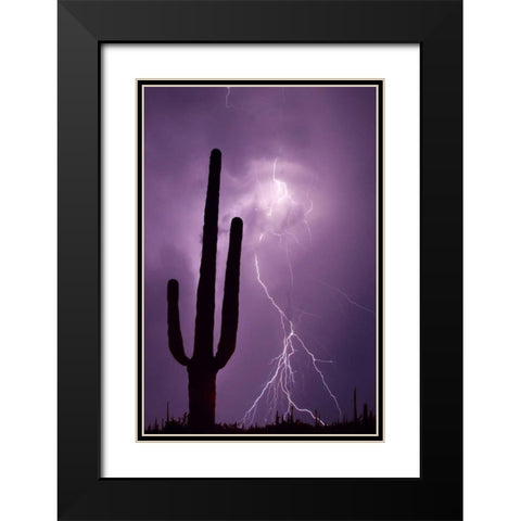Arizona Saguaro cactus and lightning Black Modern Wood Framed Art Print with Double Matting by Zuckerman, Jim