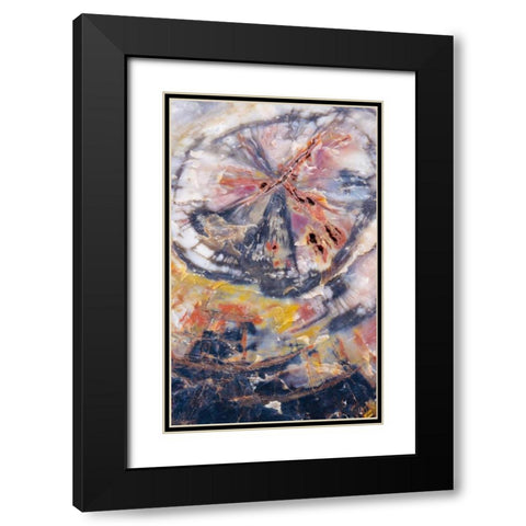 Arizona, Petrified Forest Petrified wood detail Black Modern Wood Framed Art Print with Double Matting by Delisle, Gilles