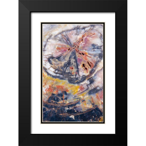 Arizona, Petrified Forest Petrified wood detail Black Modern Wood Framed Art Print with Double Matting by Delisle, Gilles