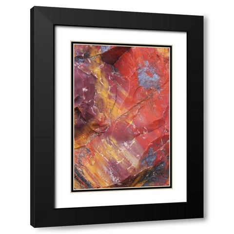 Arizona, Petrified Forest Petrified wood detail Black Modern Wood Framed Art Print with Double Matting by Delisle, Gilles