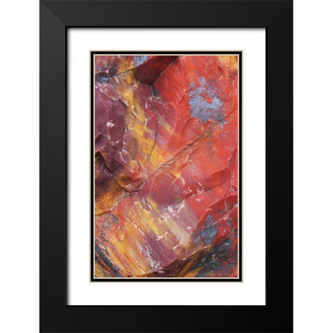 Arizona, Petrified Forest Petrified wood detail Black Modern Wood Framed Art Print with Double Matting by Delisle, Gilles