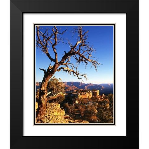 Arizona-Grand Canyon National Park South Rim of canyon  Black Modern Wood Framed Art Print with Double Matting by Jaynes Gallery