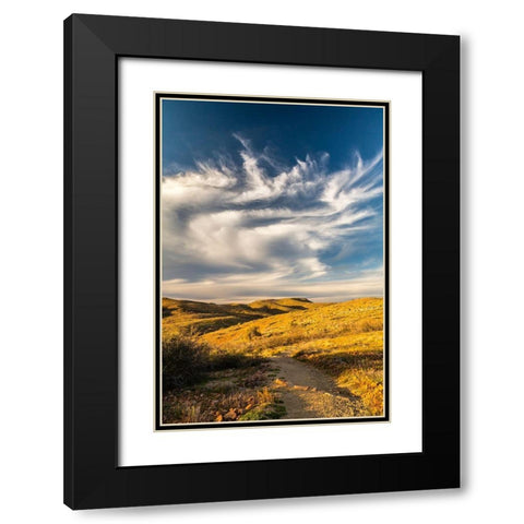 Arizona-Globe Desert landscape in Round Mountain Park Black Modern Wood Framed Art Print with Double Matting by Jaynes Gallery