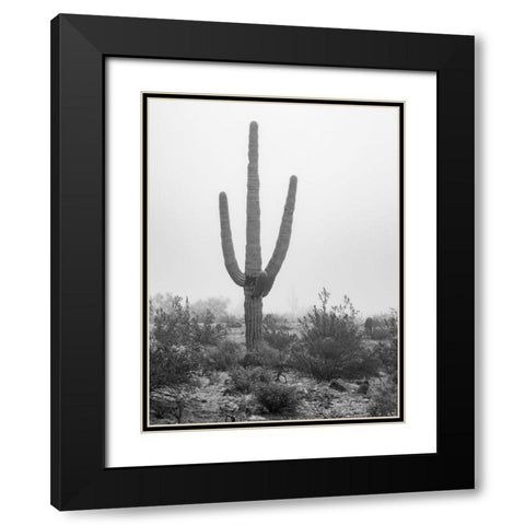 Arizona-Buckeye Black and white of saguaro cactus in fog  Black Modern Wood Framed Art Print with Double Matting by Jaynes Gallery