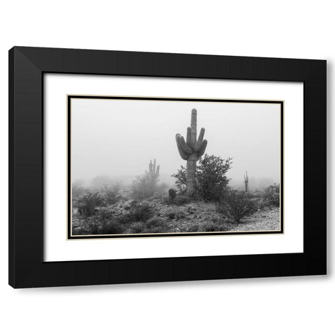 Arizona-Buckeye Black and white of saguaro cactus in fog  Black Modern Wood Framed Art Print with Double Matting by Jaynes Gallery