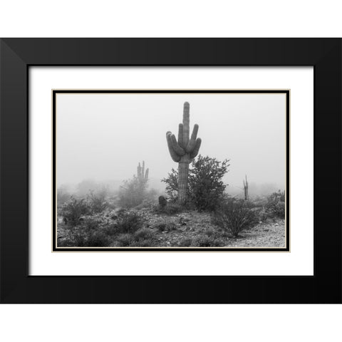 Arizona-Buckeye Black and white of saguaro cactus in fog  Black Modern Wood Framed Art Print with Double Matting by Jaynes Gallery