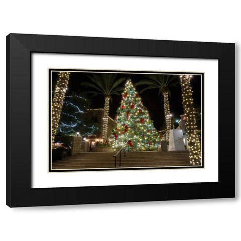 USA-Arizona-Buckeye-Christmas tree in the village square at night Black Modern Wood Framed Art Print with Double Matting by Jaynes Gallery