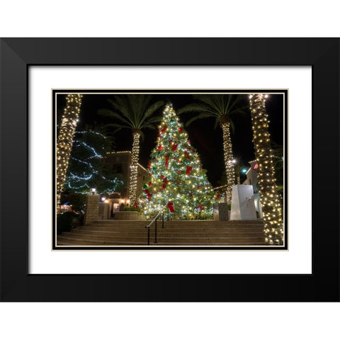 USA-Arizona-Buckeye-Christmas tree in the village square at night Black Modern Wood Framed Art Print with Double Matting by Jaynes Gallery