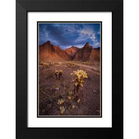 USA-Arizona-Kofa National Wildlife Area-Mountain and desert landscape Black Modern Wood Framed Art Print with Double Matting by Jaynes Gallery