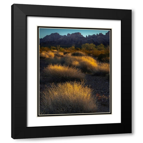 USA-Arizona-Kofa National Wildlife Area-Mountain and desert landscape at sunrise Black Modern Wood Framed Art Print with Double Matting by Jaynes Gallery
