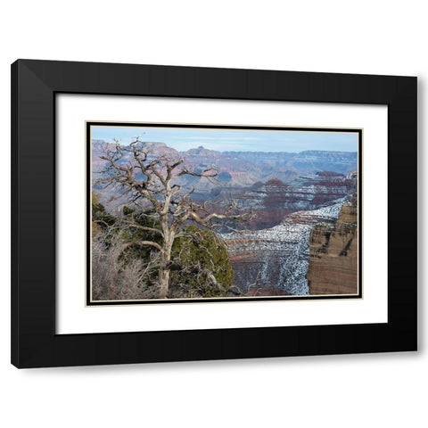Powell Point-Grand Canyon National Park-Arizona-USA Black Modern Wood Framed Art Print with Double Matting by Reynolds, Gerry