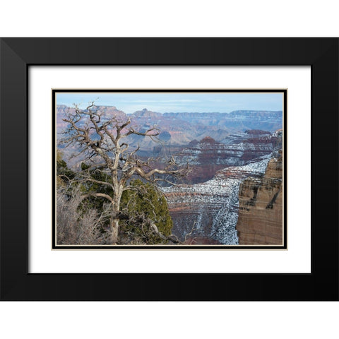 Powell Point-Grand Canyon National Park-Arizona-USA Black Modern Wood Framed Art Print with Double Matting by Reynolds, Gerry