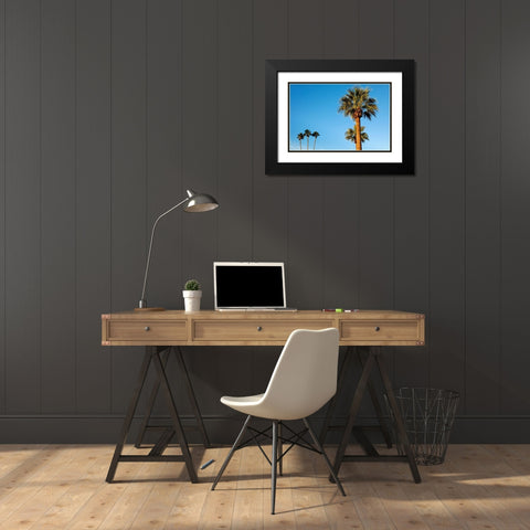 Palm trees-Carefree-Arizona Black Modern Wood Framed Art Print with Double Matting by McRoberts, Julien