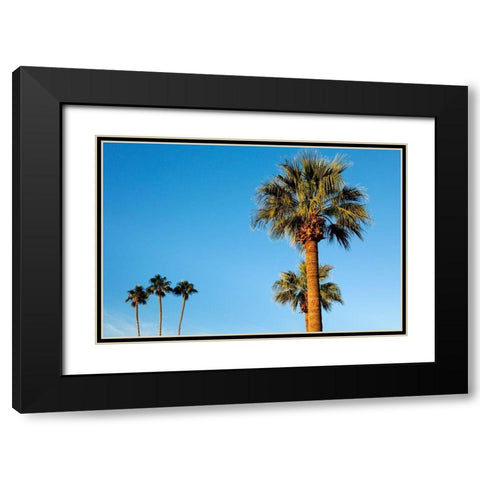 Palm trees-Carefree-Arizona Black Modern Wood Framed Art Print with Double Matting by McRoberts, Julien