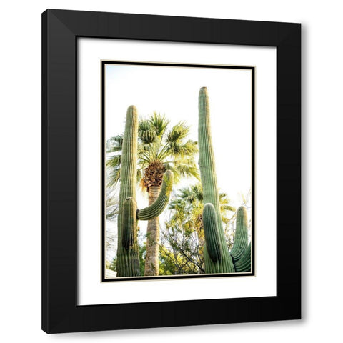 Desert cactus-Carefree-Arizona Black Modern Wood Framed Art Print with Double Matting by McRoberts, Julien